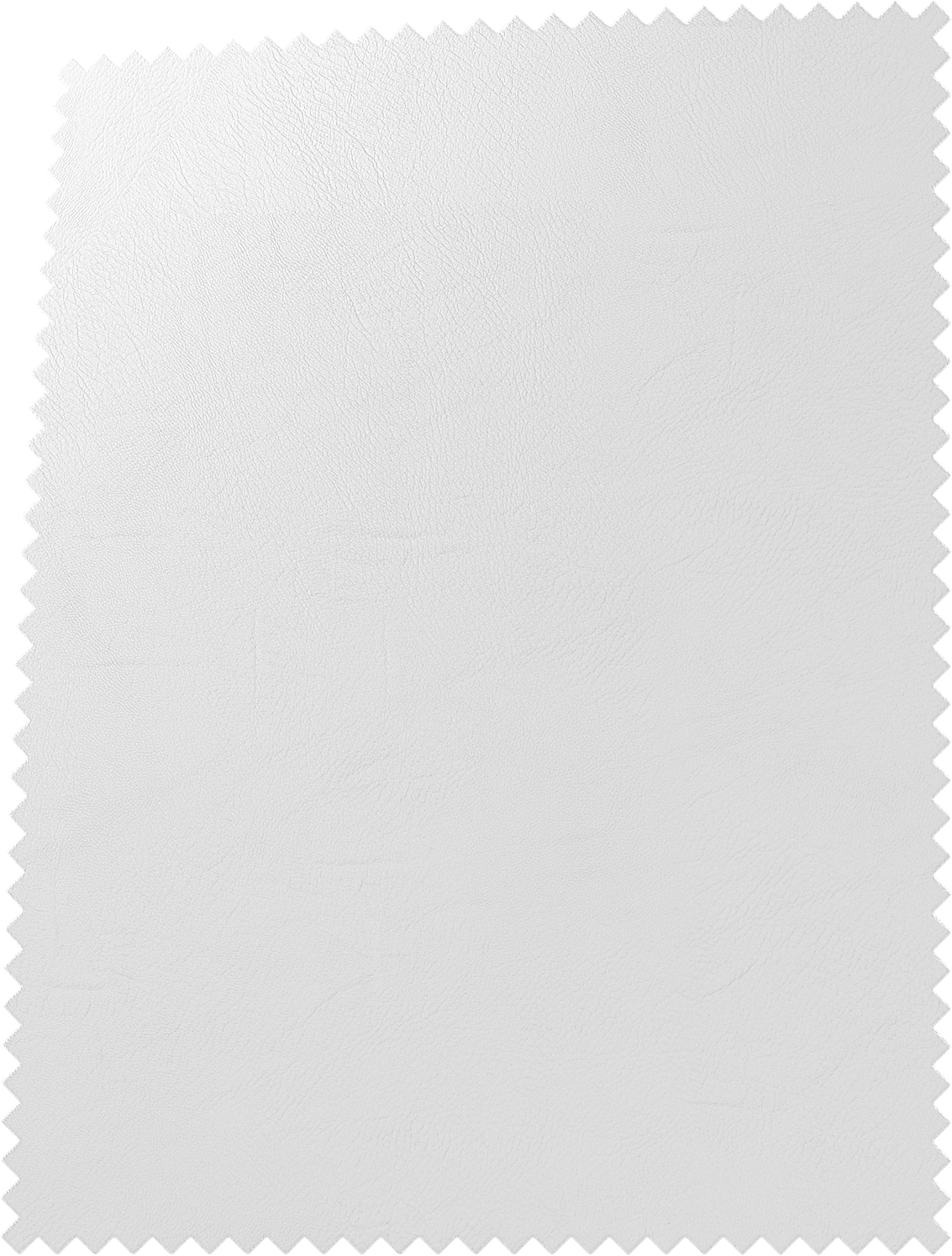 Vintage Leather White Dove