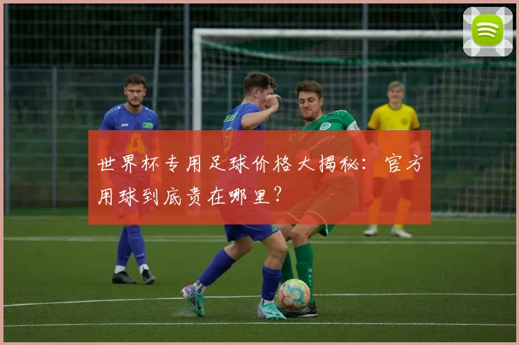 世界杯专用足球价格大揭秘：官方用球到底贵在哪里？