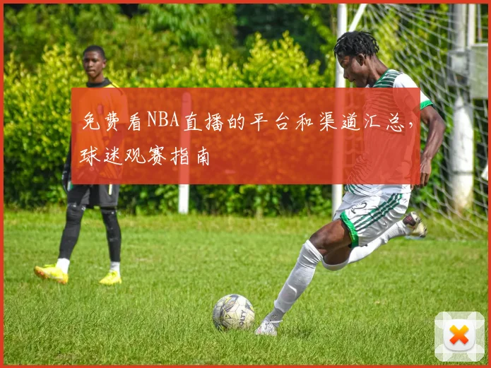 免费看NBA直播的平台和渠道汇总,球迷观赛指南