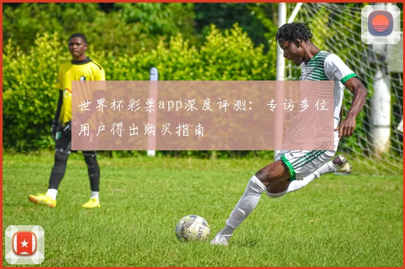 世界杯彩票app深度评测:专访多位用户得出购买指南