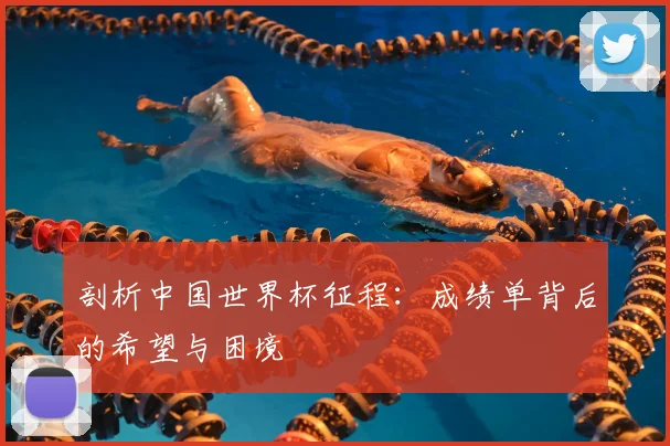 剖析中国世界杯征程：成绩单背后的希望与困境