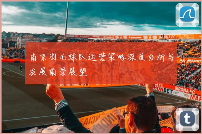 南京羽毛球队运营策略深度分析与发展前景展望