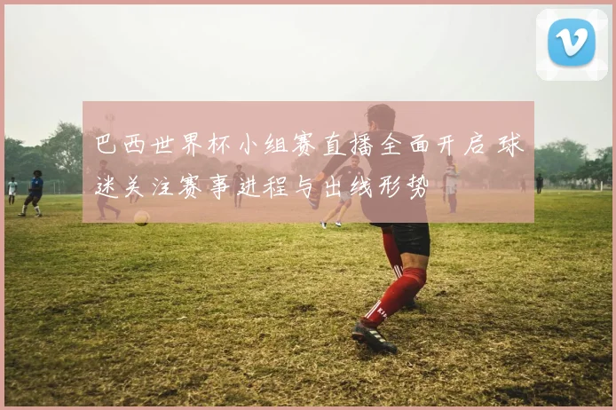 巴西世界杯小组赛直播全面开启 球迷关注赛事进程与出线形势