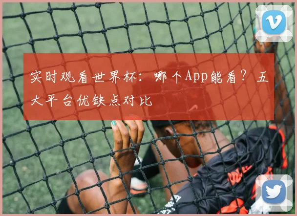 实时观看世界杯:哪个App能看?五大平台优缺点对比