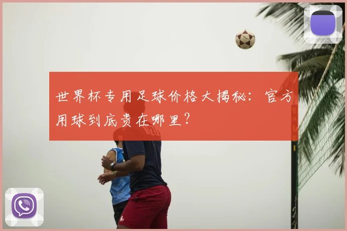 世界杯专用足球价格大揭秘：官方用球到底贵在哪里？