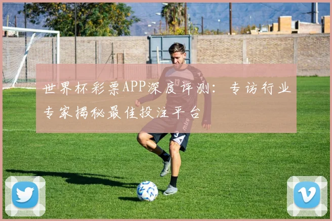 世界杯彩票APP深度评测:专访行业专家揭秘最佳投注平台